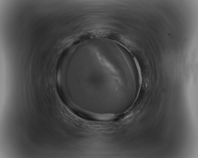 X0000086761010200704201741