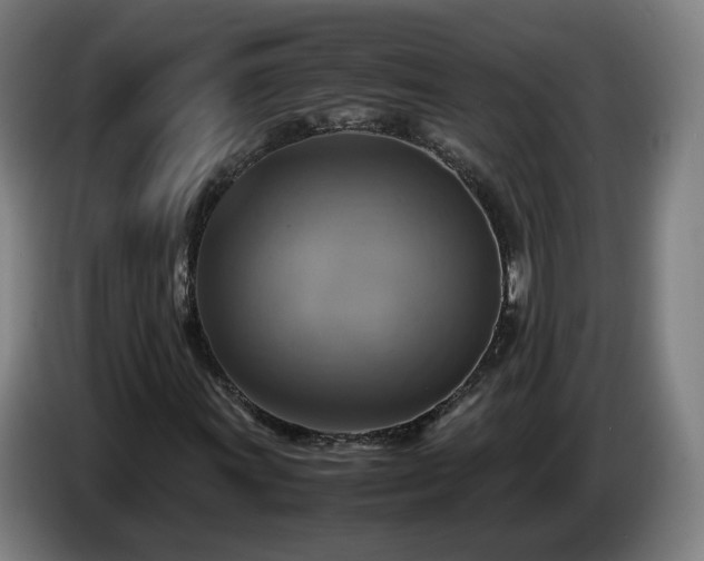 X0000086761011200704201741
