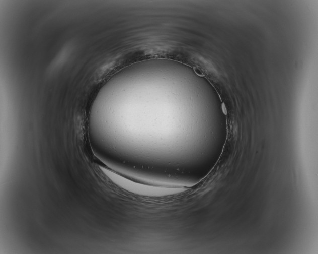 X0000086761012200704201741