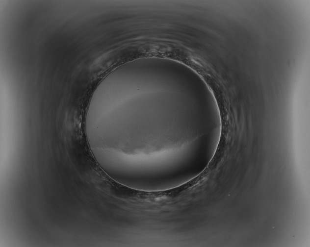 X0000086761013200704201741