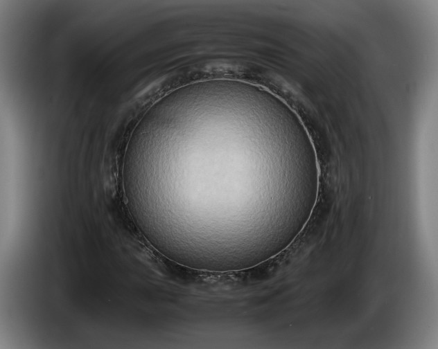 X0000086761015200704201741
