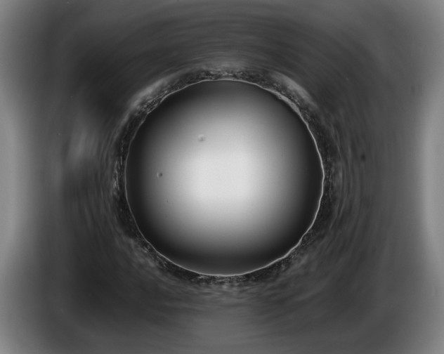 X0000086761016200704201741