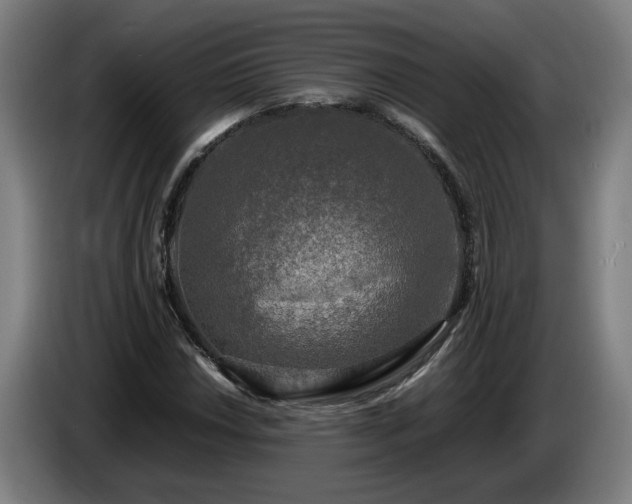 X0000086761018200704201741