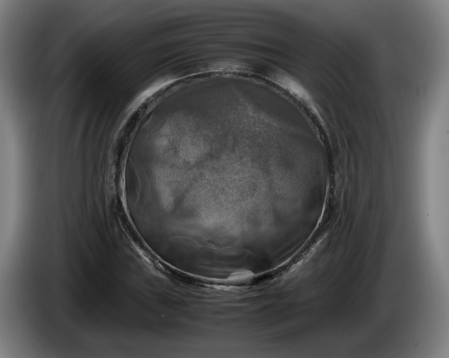X0000086761019200704201741