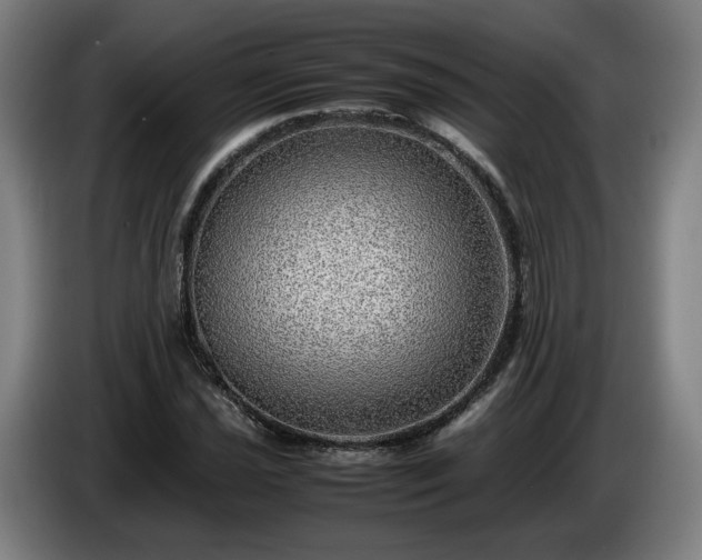 X0000086761021200704201741