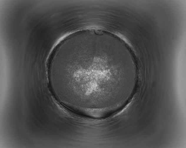 X0000086761022200704201741