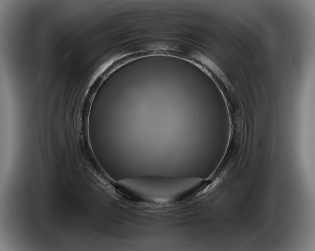 X0000086761023200704201741