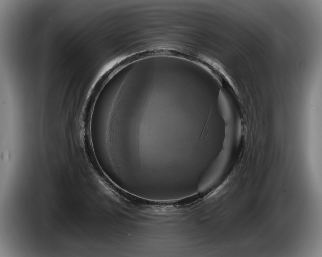 X0000086761024200704201741
