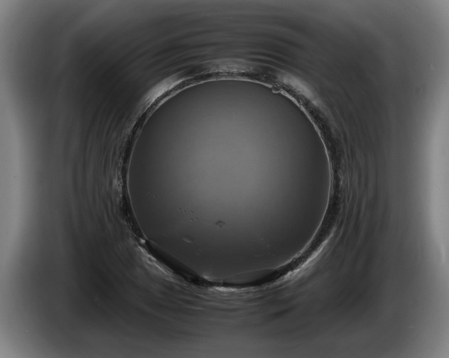 X0000086761025200704201741