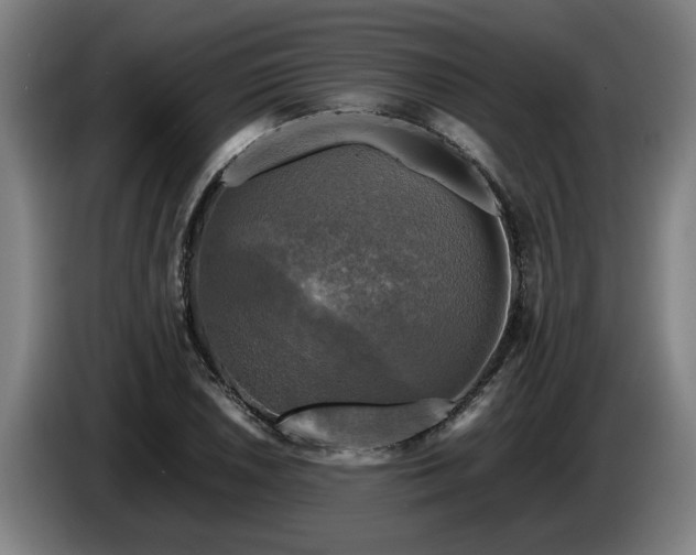 X0000086761026200704201741