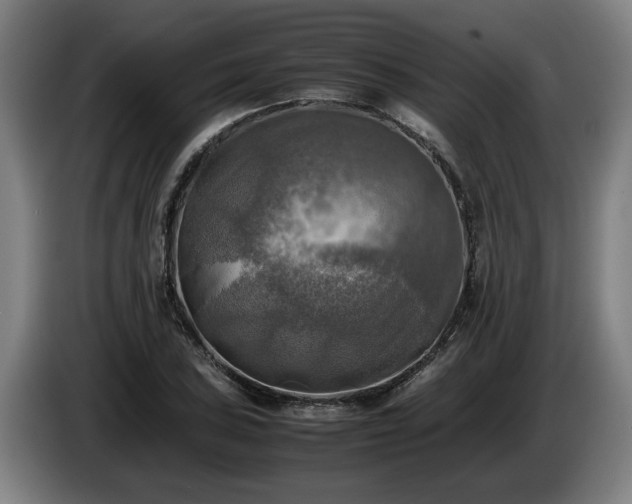 X0000086761027200704201741