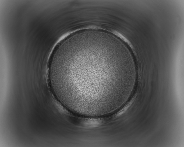 X0000086761029200704201741