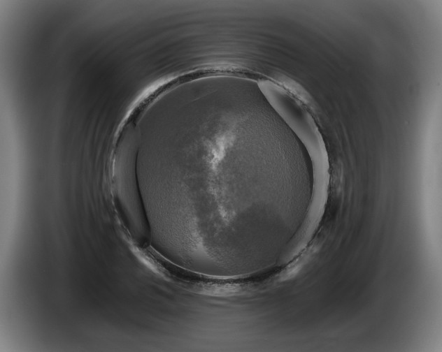 X0000086761030200704201741