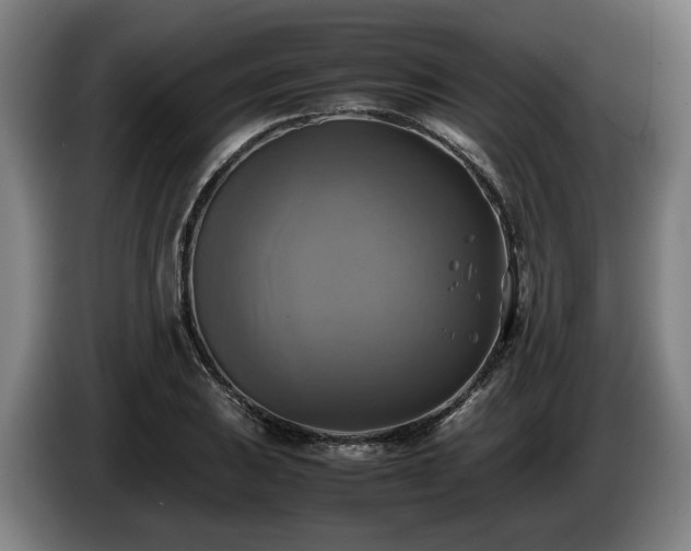 X0000086761031200704201741