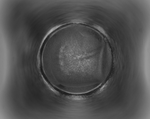 X0000086761032200704201741