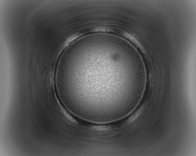 X0000086761033200704201741