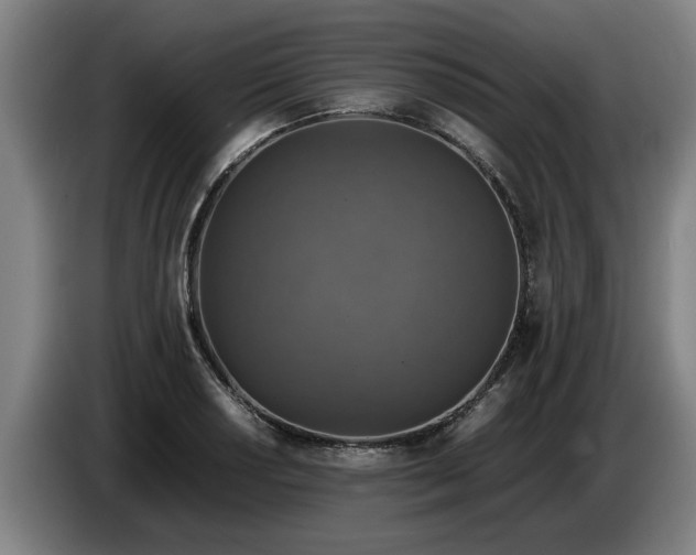 X0000086761034200704201741
