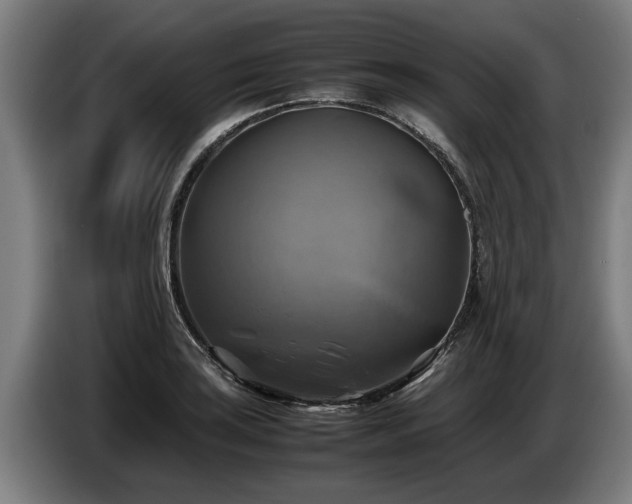 X0000086761035200704201741