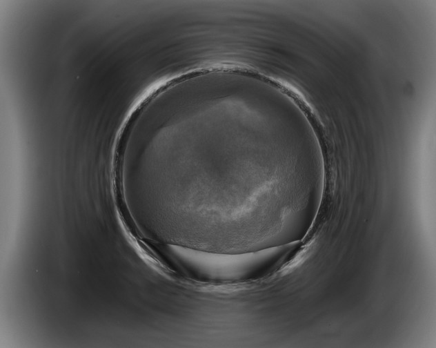 X0000086761038200704201741