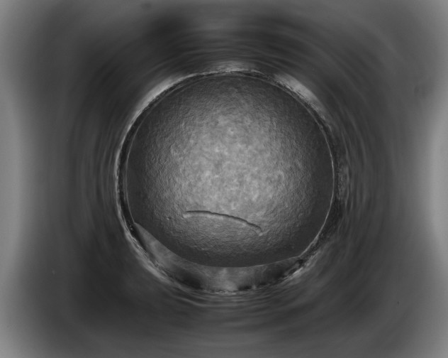 X0000086761039200704201741