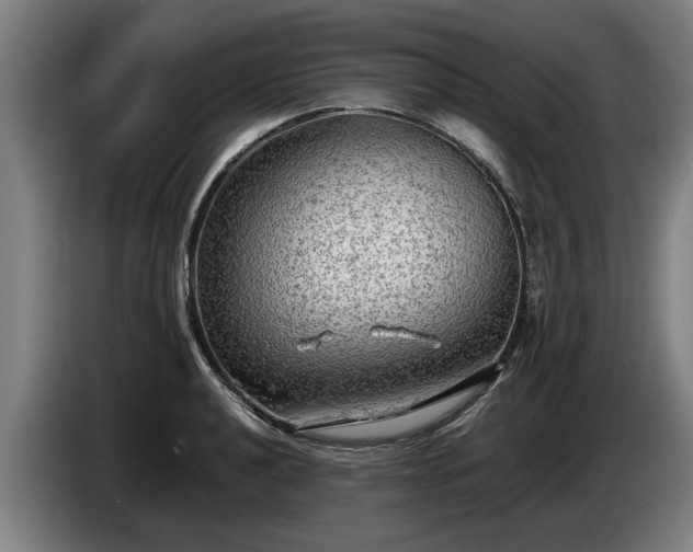 X0000086761040200704201741