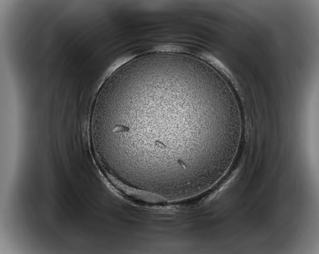 X0000086761041200704201741