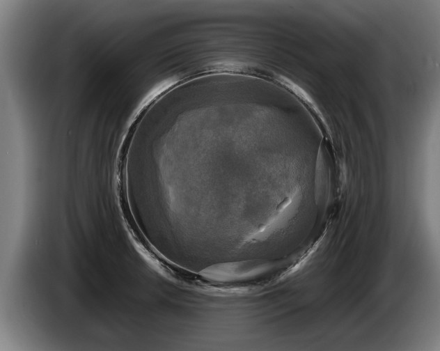 X0000086761042200704201741
