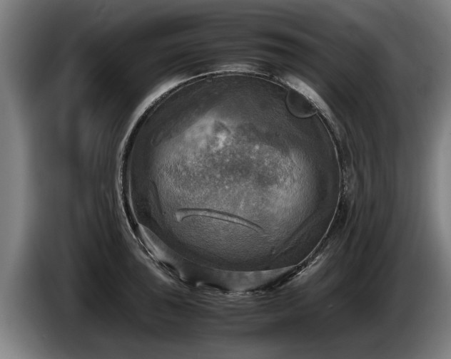X0000086761043200704201741