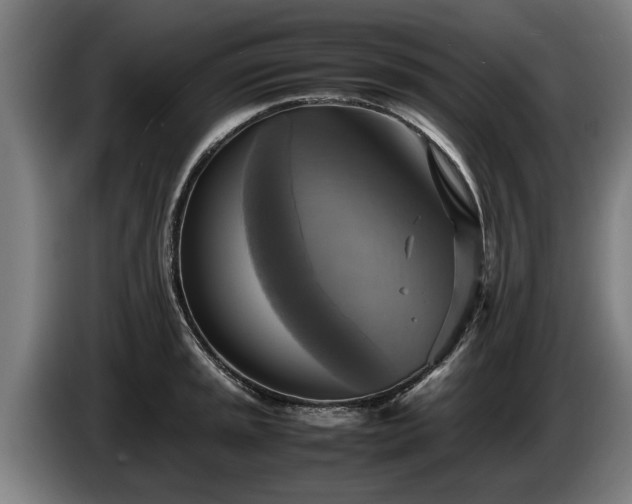 X0000086761045200704201741