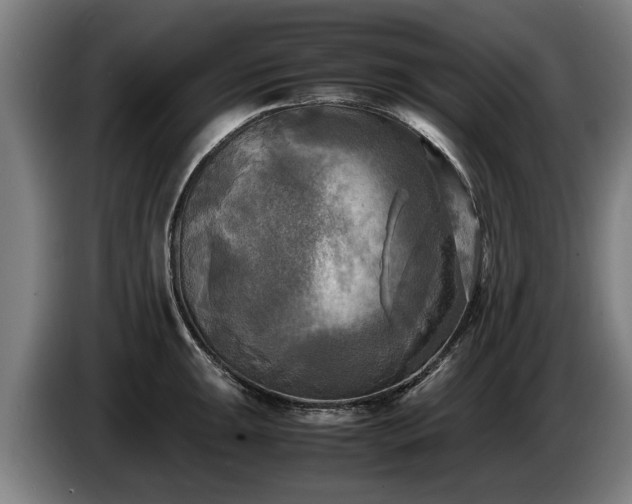 X0000086761047200704201741