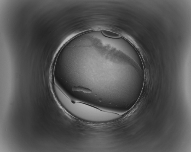 X0000086761048200704201741
