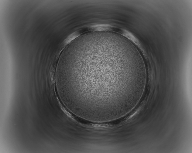 X0000086761049200704201741