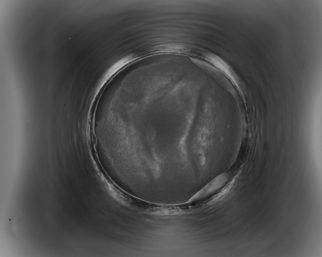 X0000086761050200704201741