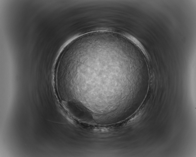 X0000086761051200704201741