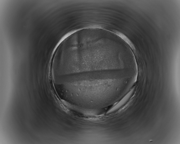 X0000086761052200704201741