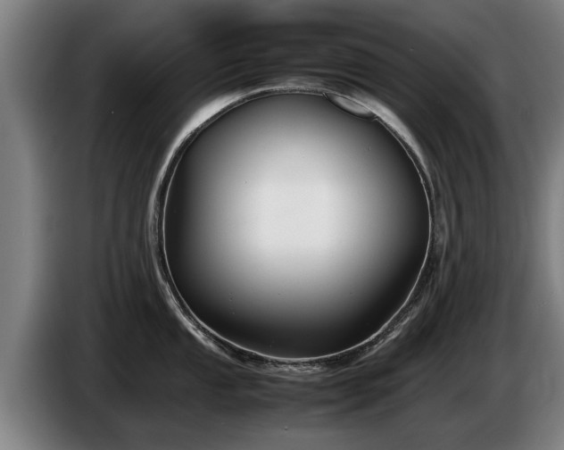 X0000086761053200704201741