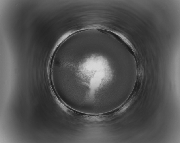 X0000086761054200704201741