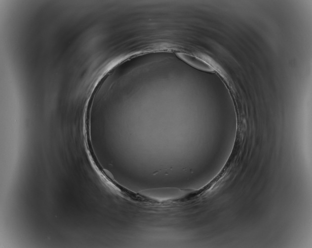 X0000086761055200704201741