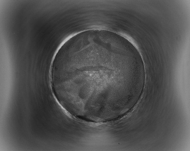 X0000086761056200704201741