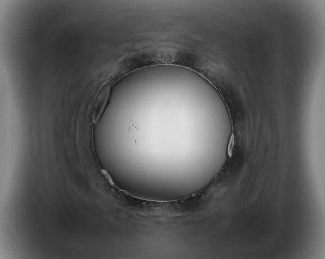 X0000086761057200704201741