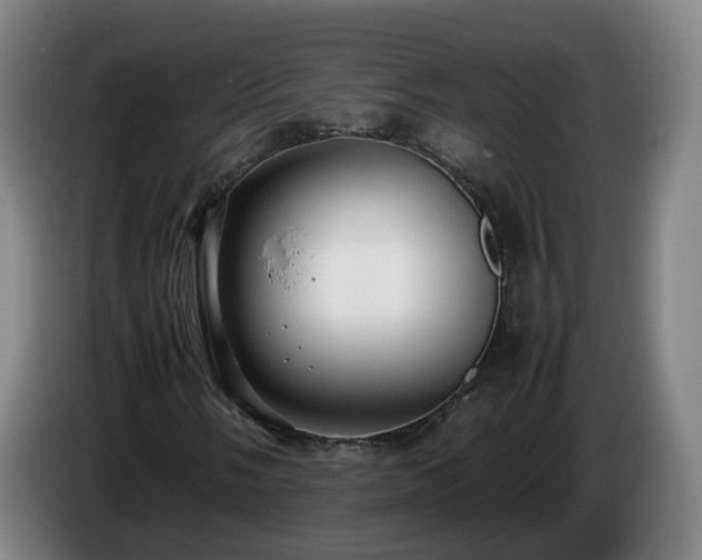 X0000086761058200704201741