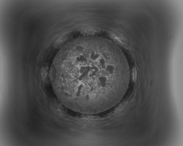 X0000086761059200704201741