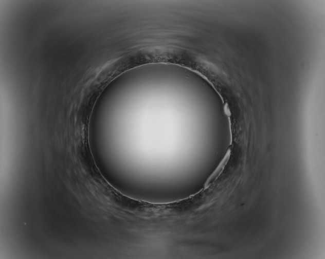 X0000086761061200704201741