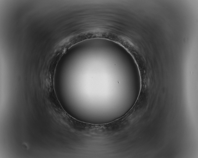 X0000086761062200704201741