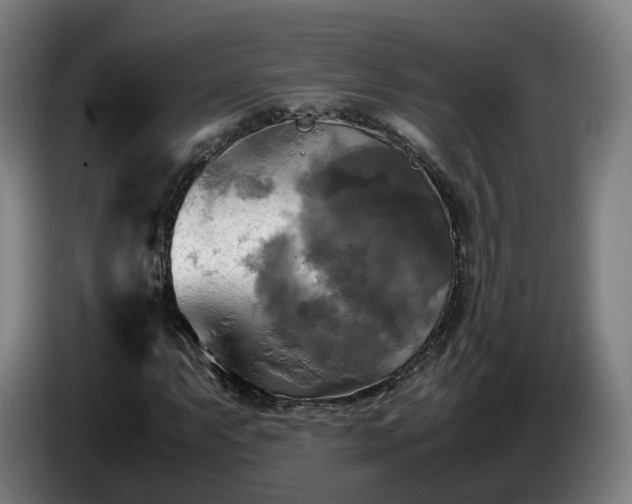 X0000086761063200704201741