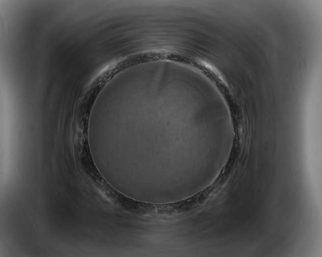 X0000086761064200704201741