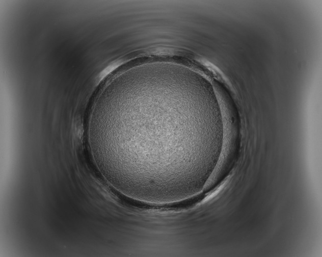 X0000086761065200704201741