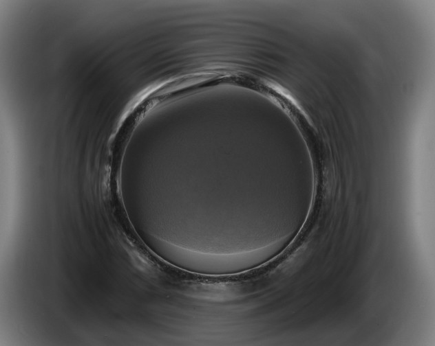 X0000086761066200704201741