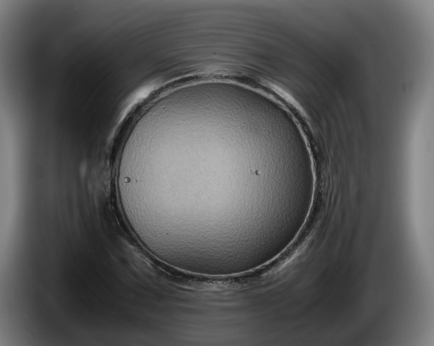X0000086761067200704201741