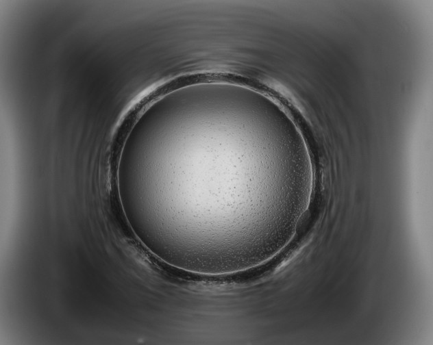 X0000086761069200704201740